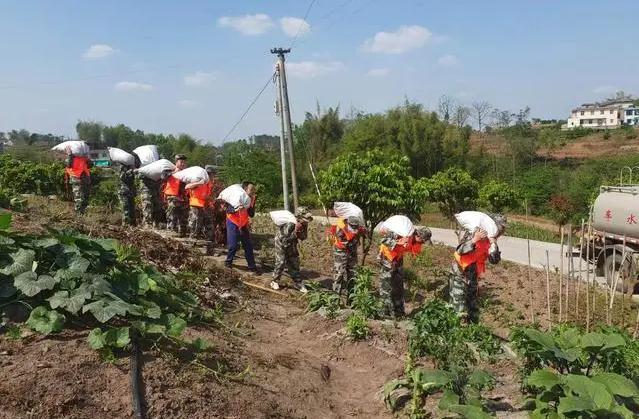 江安县铁清镇组织开展2023年防汛抢险应急演练