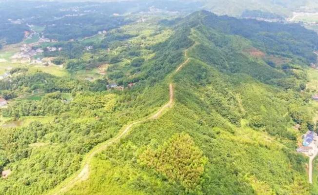 长沙两年内将完成1150公里林火阻隔系统建设